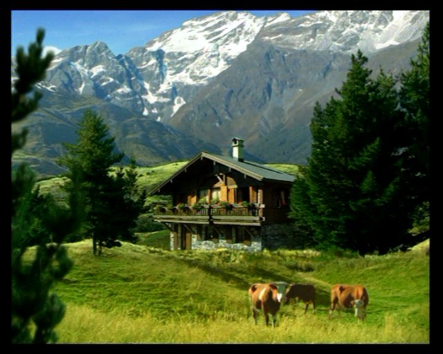 Milka : Robert Golden